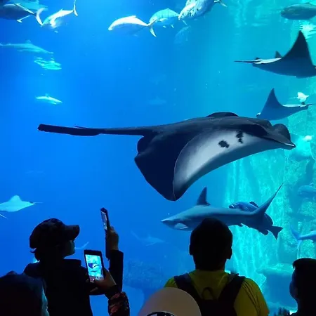 Premium 4you Apartment *